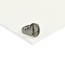 anel-